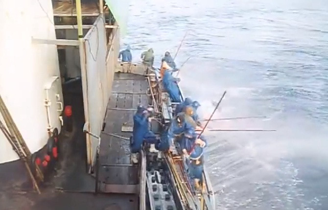 Từ trước đến nay, nghề câu cá ngừ luôn là một công việc hấp dẫn, mang lợi ích nhiều nhất. Ảnh: cắt từ clip của Minashops.