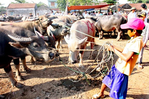 Chợ họp mỗi tháng 6 phiên, vào các ngày 1, 6, 11, 16, 21 và 26 âm lịch, từ khoảng 4h sáng đến tầm 10h trưa. Ảnh: TTXVN.