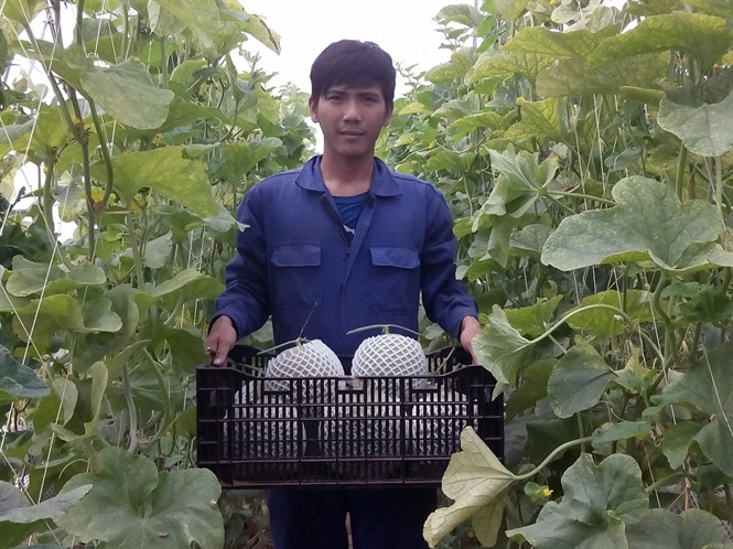 Với giá bán 45.000 - 50.000 đồng/kg, trừ mọi chi phí, chủ vườn lãi khoảng 100 triệu đồng. Ảnh: Hội nông dân.