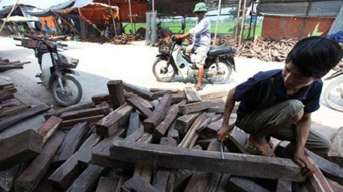 Chợ họp cả ngày nhưng nhộn nhịp nhất vào buổi sáng. Người mua hàng cũng rất đa dạng: từ thương lái cho tới thợ mộc, chủ xưởng gỗ... thậm chí cả những gia đình làm nghề ở những làng xung quanh, như Phù Khê Đông. Ảnh: Vietnamnet.