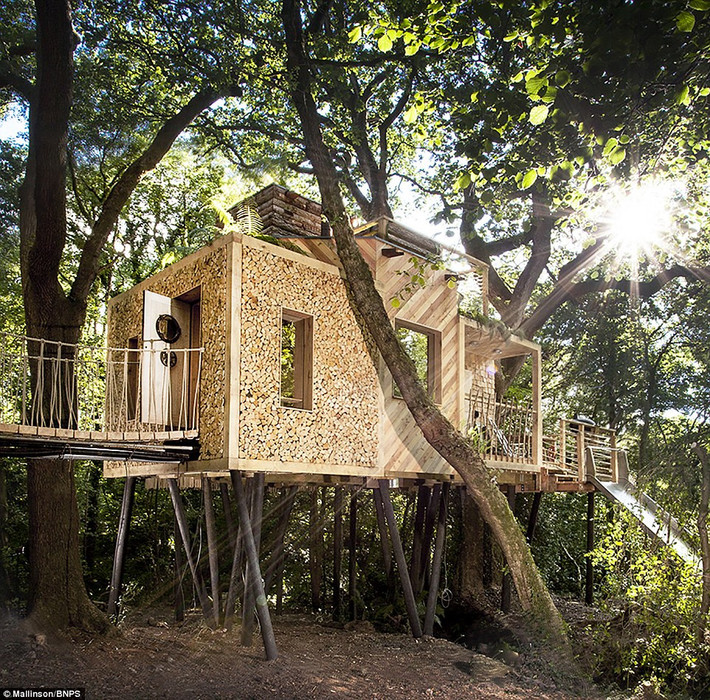 Ngôi nhà trên cây Woodsman's Treehouse ở Crafty Camping, Droset, Anh từng giành được nhiều giải thưởng về kiến trúc và hiện nay, ngôi nhà gỗ trên cây đặc biệt này đang có cơ hội giành được giải thưởng House of the Year do Viện kiến trúc Hoàng gia Anh bình chọn.