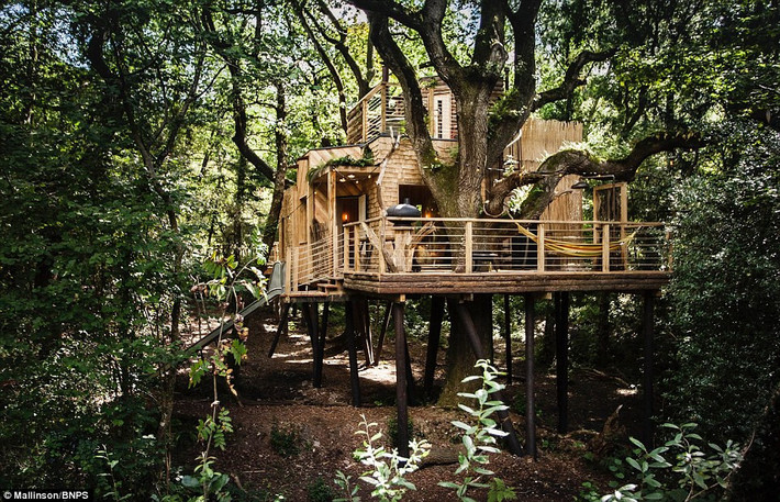 Bên cạnh cây cầu gỗ, Woodsman's Treehouse còn có một cầu trượt bằng thép không gỉ giúp du khách di chuyển nhanh từ sàn nhà xuống đất. Mallinson đã mô tả ngôi nhà 2 tầng sang trọng dưới tán cây sồi này là ngôi nhà chứa đựng ước mơ tuổi thơ của nhiều người về thế giới đồ chơi, có lâu đài, các túp lều hay cả những hang ổ của thú rừng.