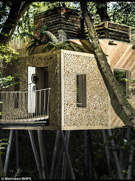 Để trải nghiệm không gian sang trọng và thoải mái này ở khu Crafty Camping, du khách cần chi trả khoảng 500 USD cho một đêm.