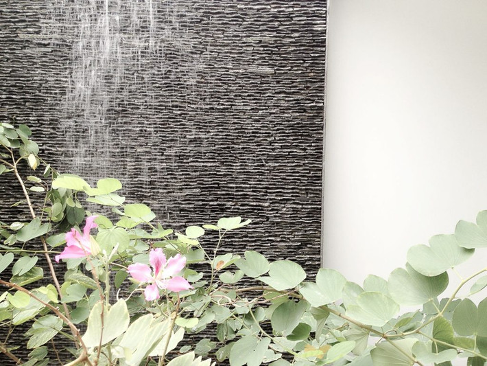 Bức tường thác nước đổ cùng với cây xanh.