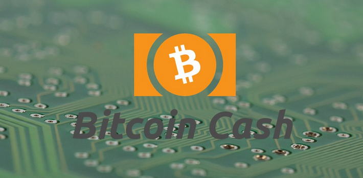 Ưu điểm Bitcoin Cash là thời gian thanh toán nhanh hơn, tin cậy và phí giao dịch thấp hơn rất nhiều so với Bitcoin. Ảnh: Gesellberg.