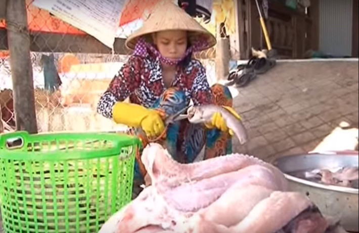 Cá được đánh vảy, làm sạch nội tạng, bỏ đầu mang và vây sau đó rửa sạch và để ráo. Người làm sẽ dùng kéo xẻ dọc mình cá loại bỏ xương sống, cắt mình cá thành 4 đường dọc để cá thấm gia vị đều, nhanh khô và khô đều. Ảnh: Youtube.