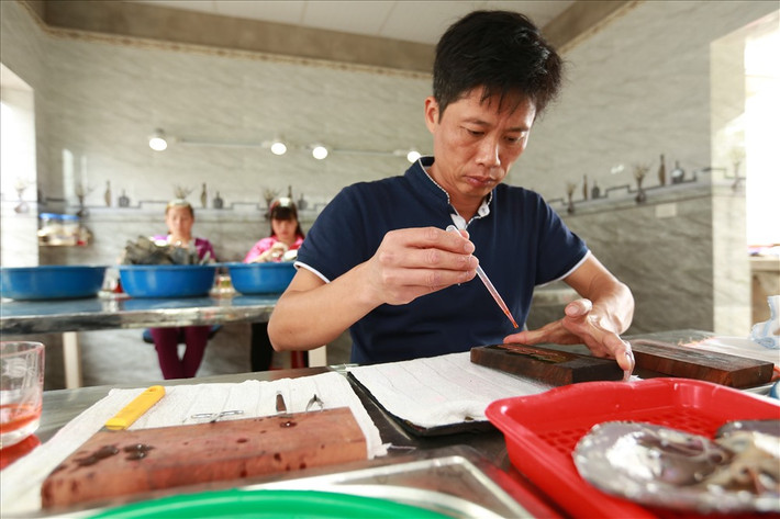 Sau 25 năm lăn lộn với nghề, đến nay những viên ngọc trai nước ngọt trong trang trại của anh Việt đã có mặt tại Nhật Bản, Ấn Độ, Trung Quốc...Ảnh: Lao động.