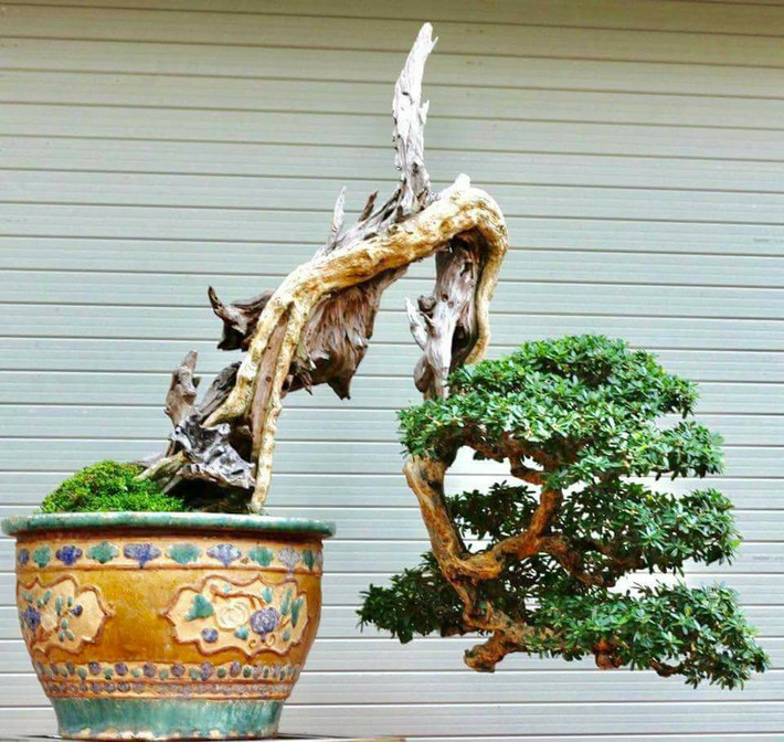 Tác phẩm Linh Sam "Mảnh đời còn lại" của một nghệ nhân ở Hà Nội. Ảnh: Vanhien.