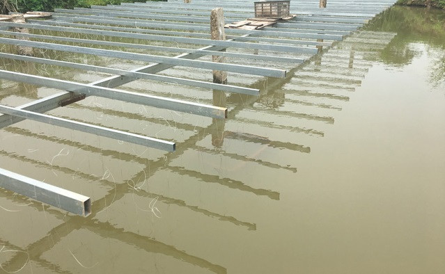 Tùng tiết lộ, nguồn nước để nuôi trai rất nghiêm ngặt, nhiệt độ phải luôn duy trì từ 20-30 độ. Ảnh: Dân Việt.