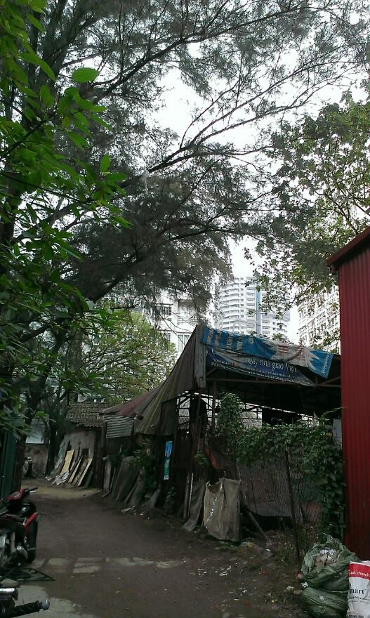 Dù được quảng cáo rầm rộ và hoành tráng, nhưng thực tế phát hiện nhiều điểm hạn chế dự án Ecolife Tây Hồ khiến khách hàng nếu mục sở thị tận nơi có lẽ sẽ chùn chân. Trong ảnh là con ngõ 20 Hoàng Quốc Việt - con ngõ được giới thiệu trên website là đường vào dự án. Thế nhưng khi PV Kiến Thức tới ngõ này để vào dự án thì đây lại là ngõ cụt, đã bị nhà dân xây chặn.