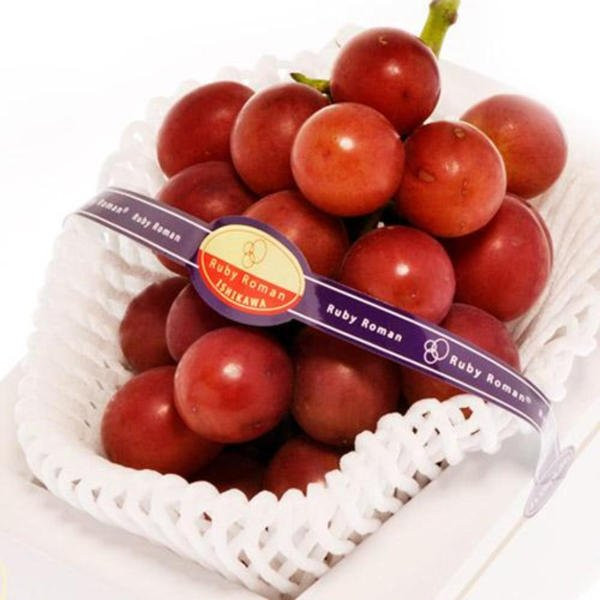 Nho Ruby Roman đạt chuẩn khi thu hoạch phải đạt trọng lượng từ 700g/ chùm, 1 trái từ 30g, đường kính 30 cm. Ảnh: Oddity Central.