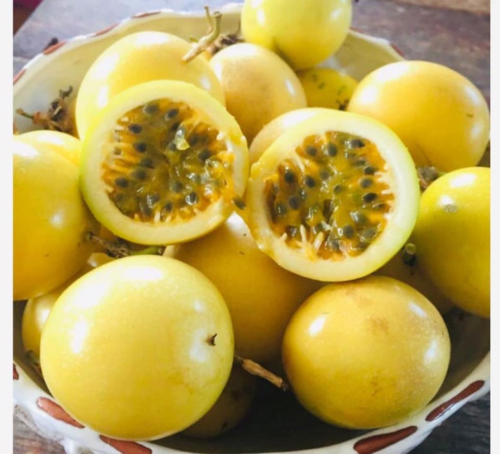 Loại chanh này rất năng suất, 1ha có thể cho thu tới 40-50 tấn quả. Thời điểm thu hoạch bắt đầu từ tháng 6 đến cuối năm mới hết mùa. Nguồn ảnh: Facebook Video: Giống chanh leo vàng ngọt cho 300 triệu 1 tháng. Nguồn: VTC16