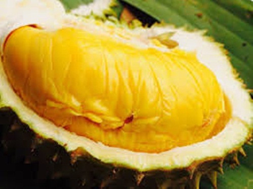 Khi thưởng thức loại sầu này có cảm giác đã miệng vì cắn vào sâu mà không đụng hạt. Ảnh: Facebook