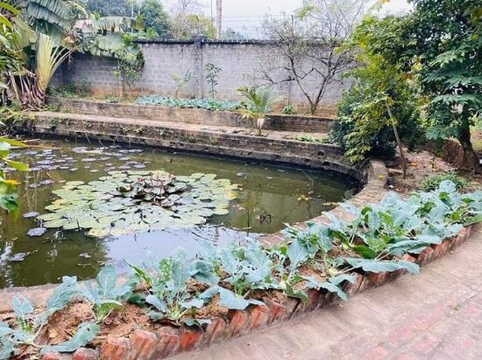 Bên trong nhà, Hồng Đăng trồng đủ các loại rau và cây ăn trái.