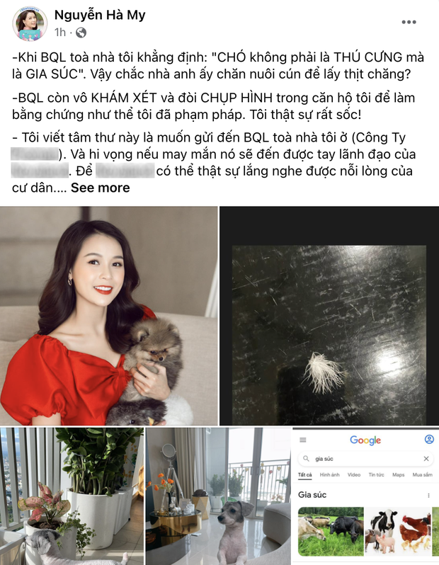 Vừa qua, diễn viên Sam (tên thật Nguyễn Thị Hà My) thu hút sự chú ý của cộng đồng mạng khi vướng phải câu chuyện bị "ép" chuyển đi vì nuôi chó trong căn hộ chung cư. Ảnh chụp màn hình