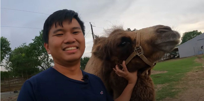 Trên thực tế, Vương Phạm cũng đã sở hữu nhiều nông trại rộng hàng trăm hecta nuôi toàn động vật hoang dã như hươu cao cổ, cừu...