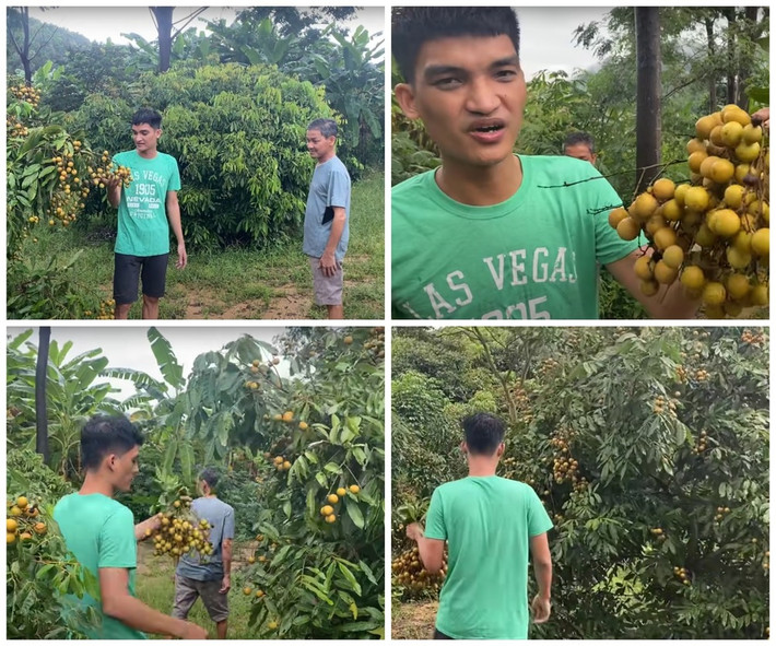 Diễn viên Mạc Văn Khoa cho biết ba mẹ anh vô cùng tự hào khi có một không gian rộng rãi với rất nhiều cây ăn trái.