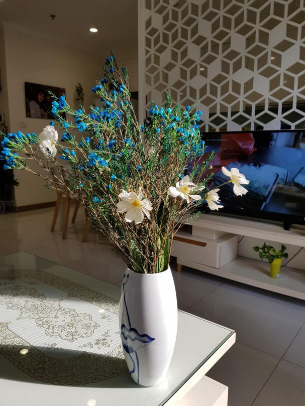 Căn hộ tuy không quá rộng nhưng nhưng lại thoáng đãng vì mọi đồ đạc đều được bố trí rất hợp lý, gọn gàng. Ảnh: FBNV