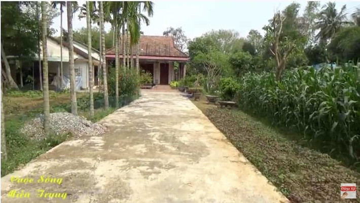 Căn nhà nằm lọt thỏm giữa những rặng cao xanh mát. Xung quanh nhà vắng vẻ, nhiều cây xanh mát. Ảnh chụp màn hình