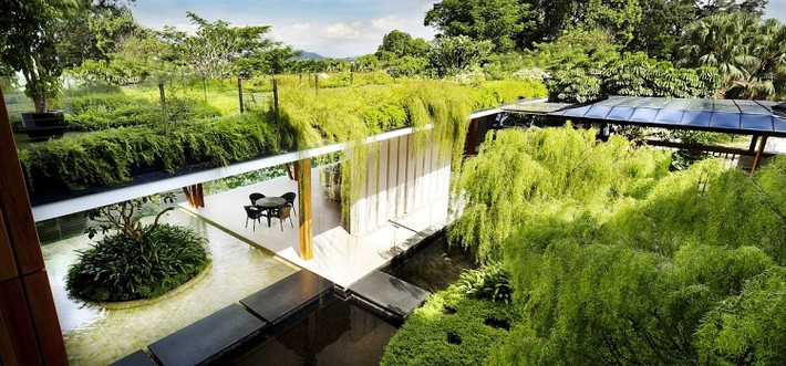 Nhìn từ xa, biệt thự 2 tầng như một ốc đảo xanh giữa lòng thành phố. Nguồn ảnh: Architizer.