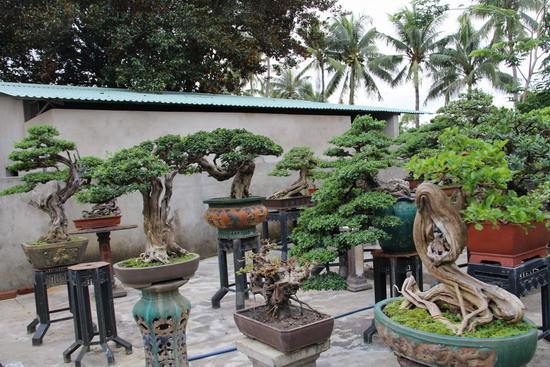 Lũa rin lại được chia thành 2 loại: lũa rin do thiên tạo và lũa rin do nhân tạo. Ảnh: Baobinhdinh.
