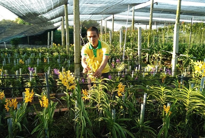 Âp Bàu Cạp, xã Nhuận Đức, huyện Củ Chi có một vườn lan công nghệ cao hơn 200.000 gốc của ông chủ trẻ Nguyễn Hoàng Hòa. Ảnh: Phanbonla.