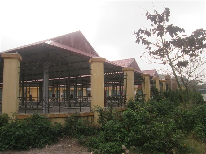 Cỏ mọc um tùm xung quanh chợ. Ảnh: Nongnghiep.