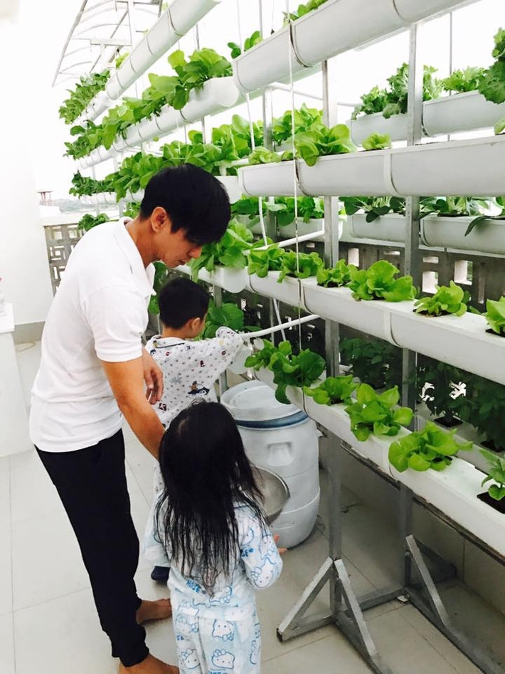 Cũng như vợ chồng Công Vinh - Thủy Tiên, vợ chồng Lý Hải - Minh Hà sở hữu một vườn rau xanh trên mái nhà và sân thượng. Ảnh: FB Ly Hai Minh Ha.