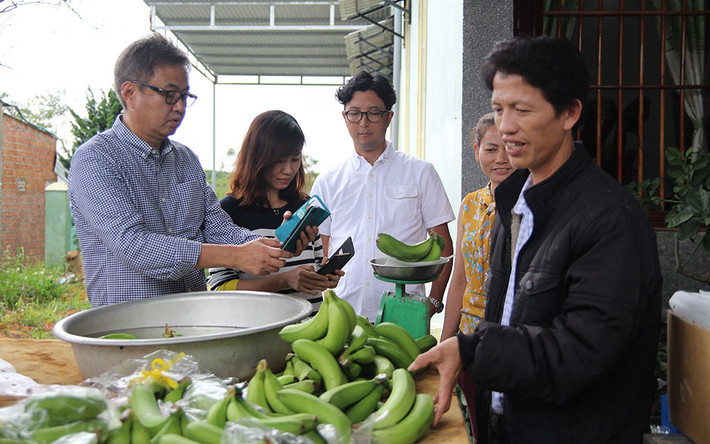 Theo nguồn tin trên Báo Lâm Đồng, lô chuối Laba đầu tiên tại xã Ðạ K’Nàng (huyện Ðam Rông, tỉnh Lâm Đồng) đã được xuất khẩu sang Nhật Bản tháng 7/2018 với số lượng 8 tấn. Ảnh: Baolamdong.