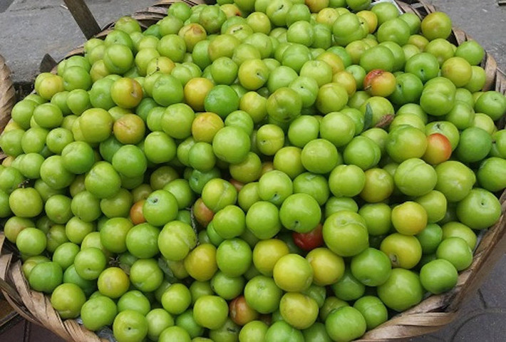 Khi ăn mận cơm Trung Quốc khá giòn, ngọt, lúc cắn đôi, hạt sẽ tách rời luôn ra. Ảnh: Nhipsongphunu.