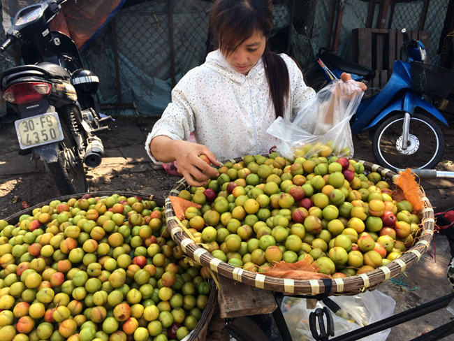 Trong khi đó, mận cơm Việt Nam thường có vào đầu mùa, trước mận Tam Hoa và có vị chua, chát, giòn, và không tách rời hạt như mận cơm Trung Quốc. Ảnh: Zing.