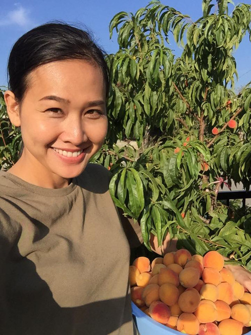 Hoa quả trong vườn nhà Dương Mỹ Linh ăn không hết. Ảnh: Giadinhvietnam.