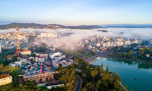 Cái se lạnh của Đà Lạt khiến bạn chỉ muốn cuộn mình trong chăn ấm, nhưng nếu dậy sớm lang thang trên những con đường đầy thông reo, bạn sẽ được thiên nhiên khoản đãi bữa tiệc đầy màu sắc.