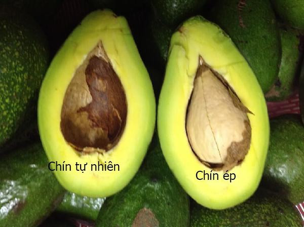Bơ chín ép do ngâm hóa chất thường rất sượng, không mịn như bơ chín cây. Ảnh: Phapluatnet.