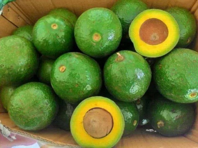 Bơ chín tự nhiên thường có phần vỏ căng bóng nhưng vẫn hơi sần sùi. Khi bóp nhẹ hơi mềm, cầm chắc tay và không ọp. Ảnh: Cooky.