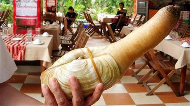 Loại hải sản siêu đắt đỏ này được xem là một cách thể hiện đẳng cấp của không ít đại gia Việt. Theo chia sẻ của nhân viên một nhà hàng, với một lần tiếp khách khoảng 6 người, đại gia chọn tu hài làm món ăn chính, tính ra một bữa nhậu có giá từ 30 - 40 triệu đồng. Ảnh: Báo đất việt.