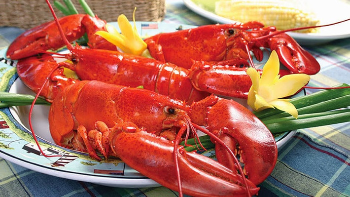Tôm hùm Canada có trọng lượng khá lớn từ 1 – 3kg/ con, thậm chí nhiều con nặng tới 6kg. Do đó, không ít thực khách phải bỏ ra tới vài chục triệu đồng cho bữa nhậu. Ảnh: Diadiemanuong.