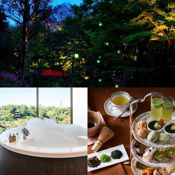 Chinzanso được biết đến là khách sạn có khuôn viên ngắm đom đóm đẹp nhất Tokyo. Nếu tới đây vào giữa tháng 6 đến đầu tháng 7, du khách sẽ được tham gia lễ hội “Hotaru no Yube” ngay trong khách sạn. Bạn có thể thưởng thức những vật phẩm đặc biệt chào mừng mùa đom đóm như thịt bò nướng, bào ngư, xà lách, đồ uống và nhiều hơn nữa. Dạo quanh vườn khách sạn để chiêm ngưỡng những con đom đóm nhảy múa là trải nghiệm không thể bỏ qua.