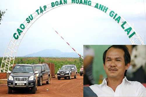 Cách đây nhiều năm, bầu Đức đã bắt đầu trồng cao su. Cụ thể Hoàng Anh Gia Lai từng sở hưu 51.000 ha đất trồng cây cao su tại Đắc Lắc, Gia Lai và hai nước bạn Lào, Campuchia. Ảnh: VTC.