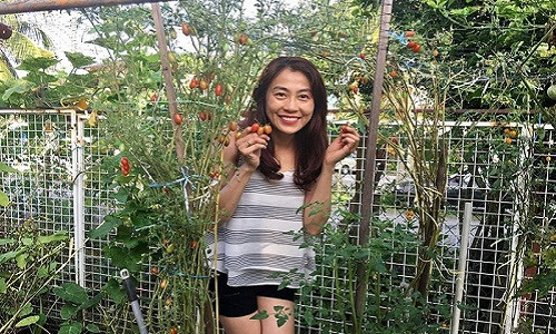 Chủ nhân của vườn rau trái xanh mướt này là chị Huỳnh Diễm Ly, sinh năm 1975. Hiện chị đang làm nội trợ tại nhà và gia đình chị định cư ở Johor Bahru, Malaysia. Với chị, làm vườn là niềm đam mê bất tận bởi lẽ nó không chỉ tạo nguồn rau sạch cho cả gia đình tiêu thụ mà còn giúp chị cảm thấy thư giãn. Vì ba mẹ đều làm nghề nông nên chị Ly làm vườn rất thành thục.