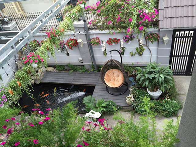Ấn tượng nhất trong không gian sân vườn là hồ cá Koi - loài cá nổi tiếng của Nhật - được chủ nhà đầu tư rất nhiều công sức và tiền bạc.