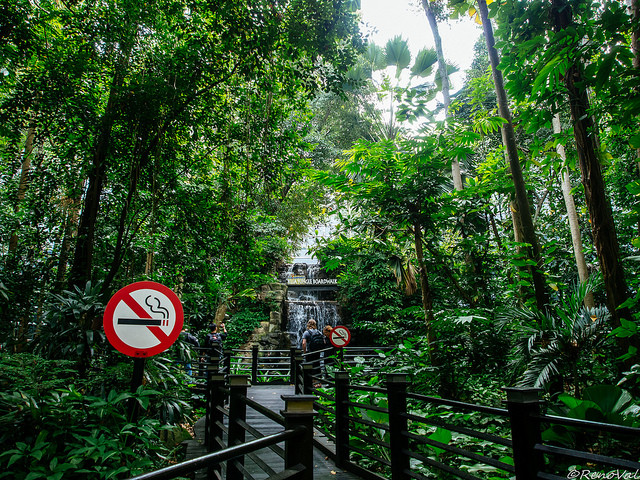 Sân bay quốc tế Kuala Lumpur (Malaysia) dành riêng một khu vực để tạo thành khu rừng nhiệt đới. Nguồn ảnh: Brightside.