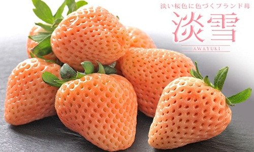 Dâu anh đào (hay dâu tuyết) là một trong những trái cây Nhật Bản nhập khẩu được giới nhà giàu lựa chọn làm quà biếu trong dịp Tết. Ảnh: Vinfruits.