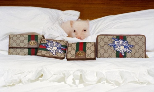 Những chiếc ví Gucci độc đáo với hình ảnh heo con. Ảnh: Gucci.