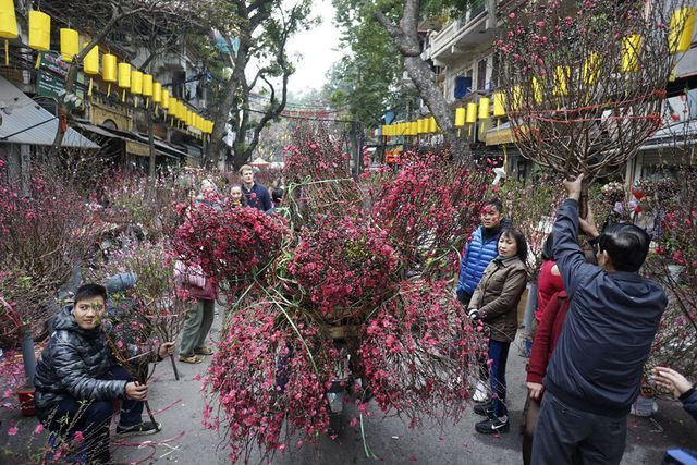 Khách đi chợ hoa Hàng Lược không chỉ để mua, để ngắm hoa mà còn tận hưởng thú vui tao nhã rất Hà Nội ngày cuối năm. Ảnh: Baodautu.