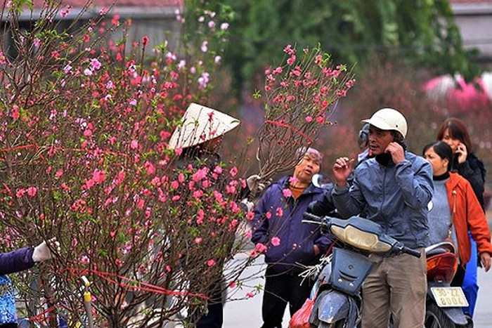 Chợ hoa Lạc Long Quân họp ở đường Lạc Long Quân kéo dài đến đầu đường Thụy Khuê. Chợ chỉ họp vào ngày giáp Tết với đầy đủ các loại hoa đẹp nhất như đào, quất, cúc...Ảnh: Aninhthudo.