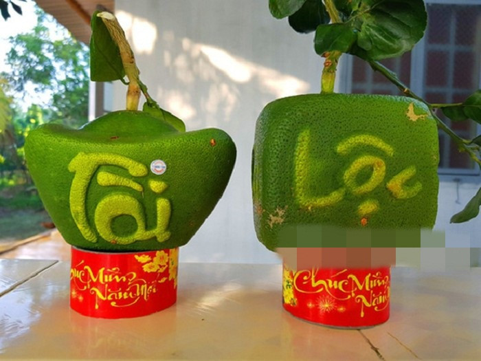 Chuẩn bị cho Tết Nguyên đán 2019, anh Huỳnh Thanh Tâm (ngụ thị trấn Châu Thành, huyện Châu Thành, tỉnh Bến Tre) tạo hình thành công 2 loại bưởi tạo hình là thỏi vàng và bưởi vuông độc đáo. Ảnh: Người lao động.
