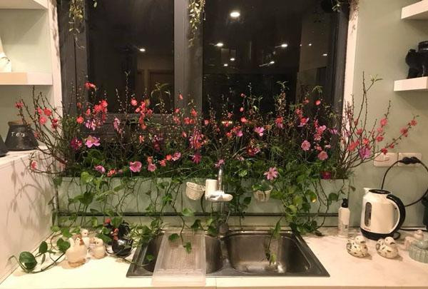 Góc bếp xinh xắn sẽ không thể độc đáo hơn nhờ những cành đào nhỏ. Ảnh: Khám phá.