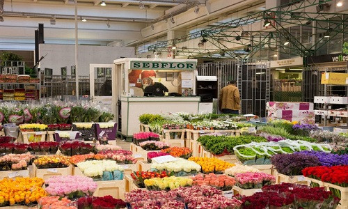 Cách trung tâm thủ đô Paris khoảng 7km, chợ hoa Rungis là nơi tập trung đủ các loại rau, cây trồng và hoa đầy sắc màu.