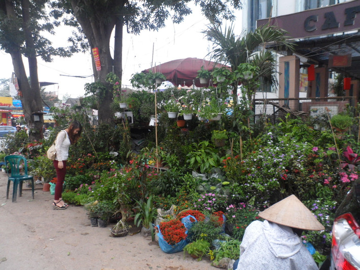 Vào dịp cuối năm, chợ Bưởi là nơi tề tựu của những người yêu hoa, cây cảnh ở khắp các nơi trong Hà Nội. Ảnh: Traiheviet.